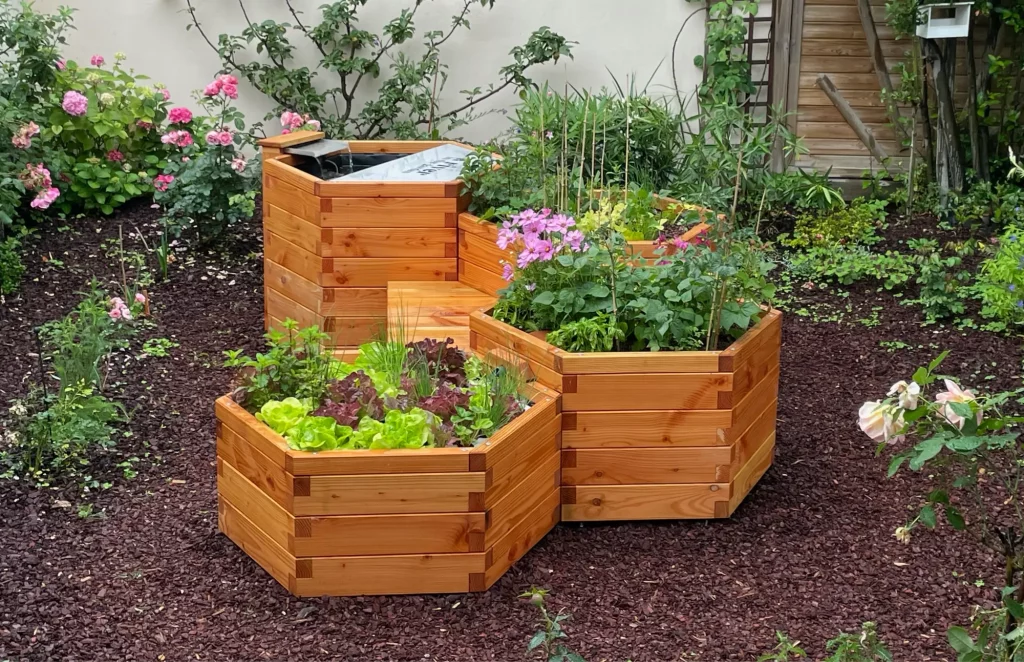 Plusieurs structures en bois avec de la laitue et des plantes qui poussent dans un système en aquaponie.