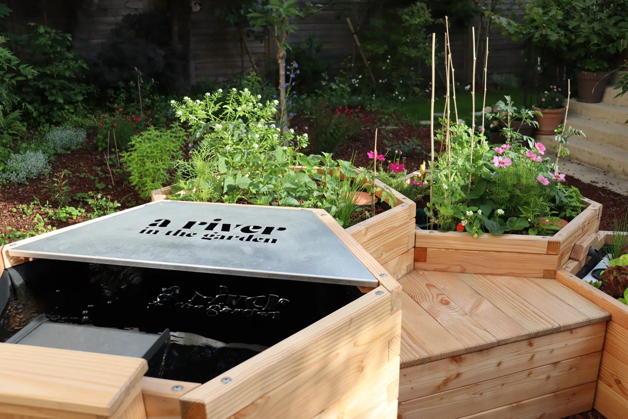 Système aquaponique avec poissons et plantes qui poussent