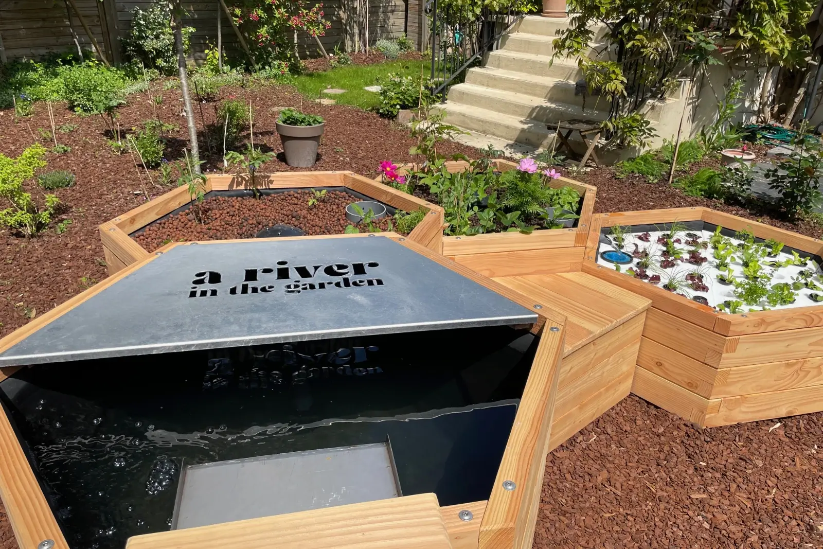 Bac aquaponique en bois avec de l'eau, des plantes et de la laitue.