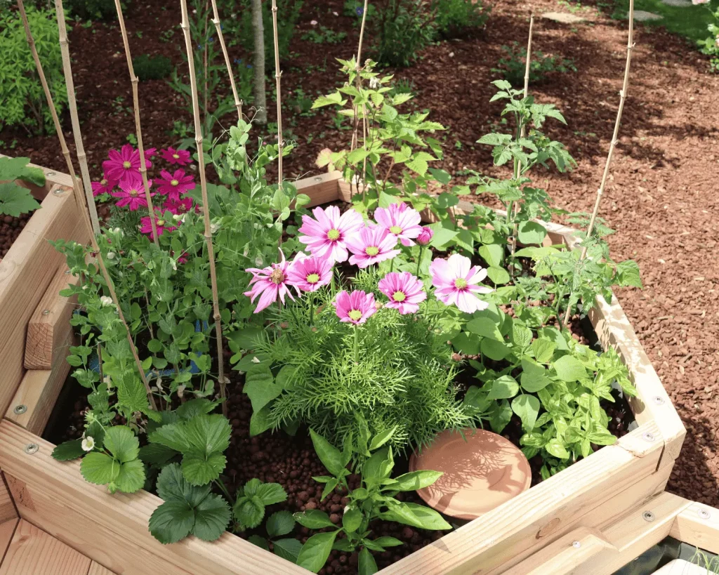 Bac aquaponique en bois avec fleurs.