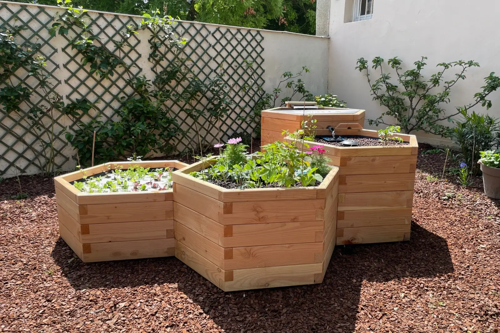 Kit aquaponique avec une structure en bois.