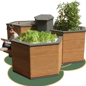 Système aquaponie en bois avec un enfant dessus