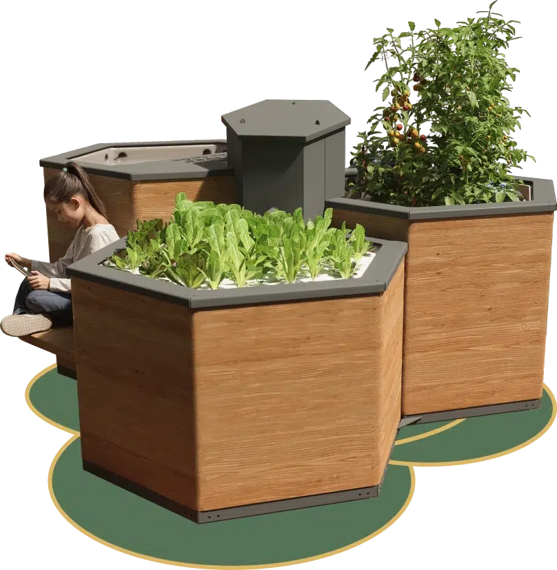 Système aquaponie en bois avec un enfant dessus